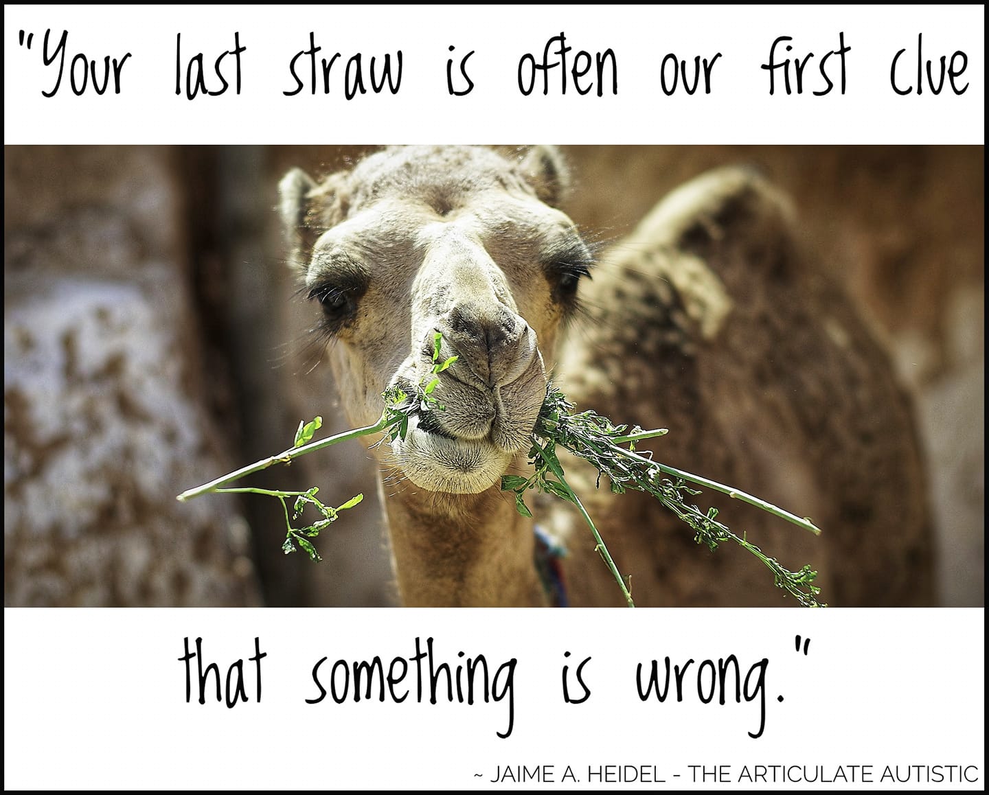 your-last-straw-is-often-our-first-clue-that-something-is-wrong