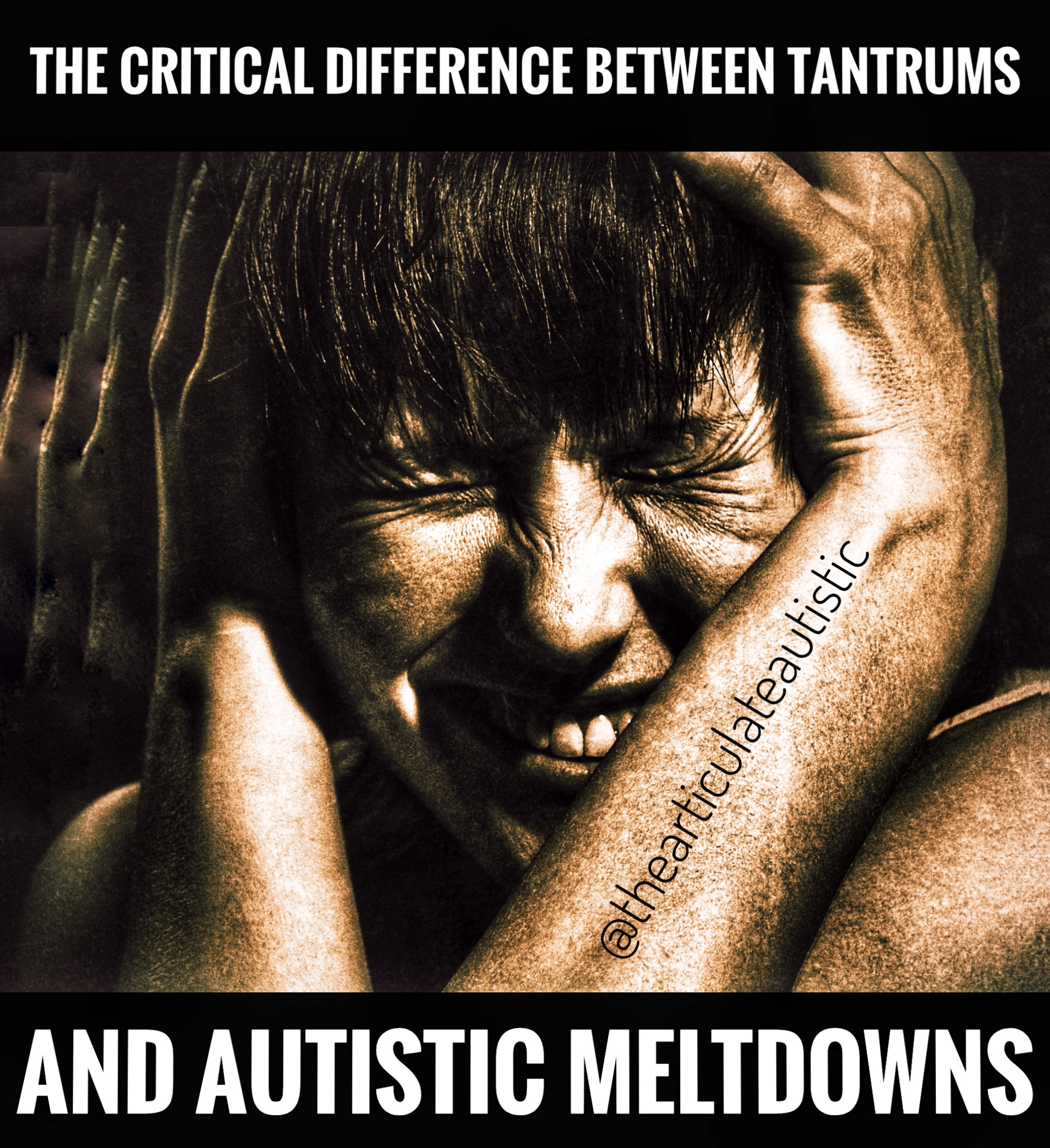 managing autism meltdown