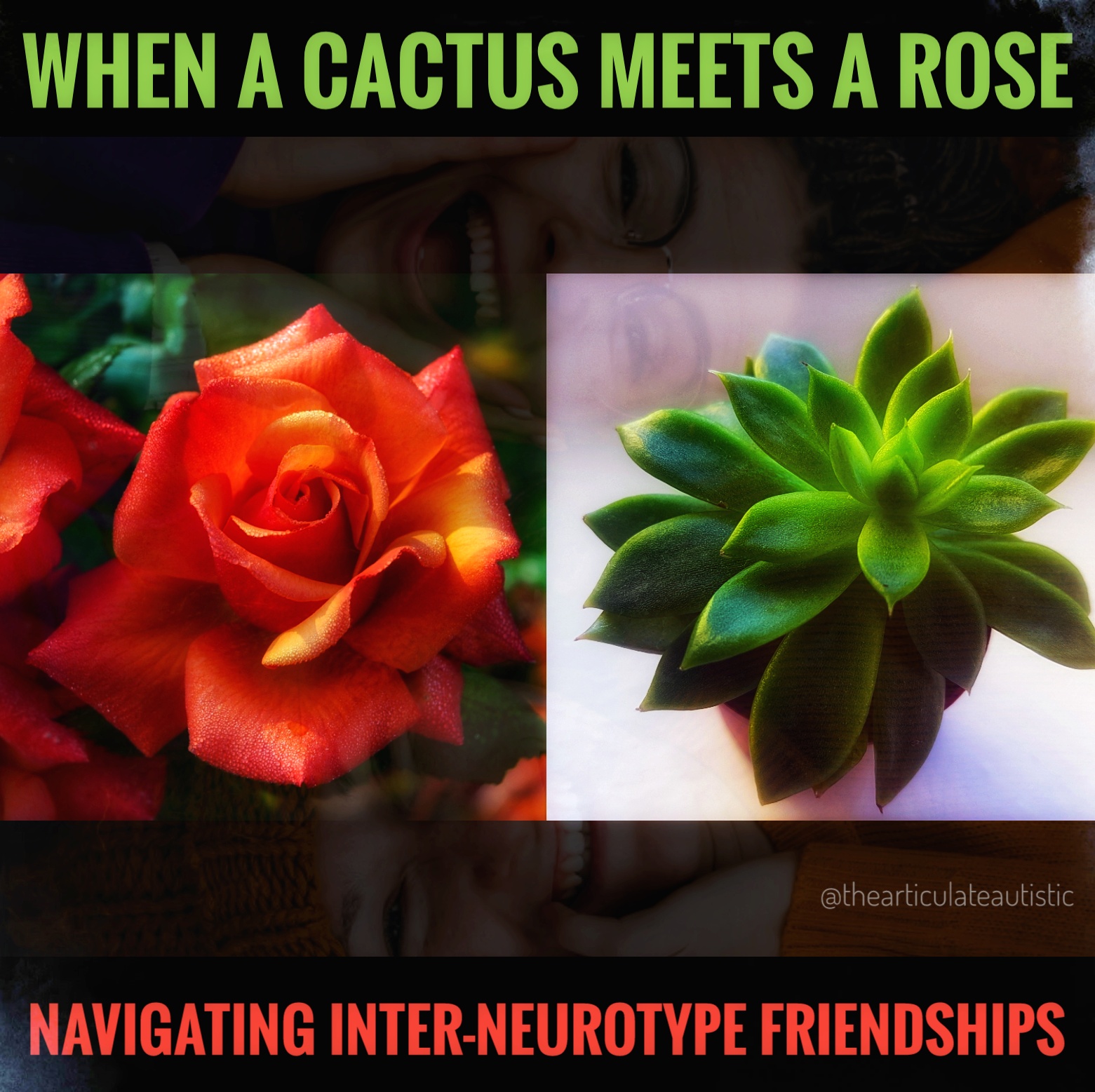 making a meme for every kaktus skip